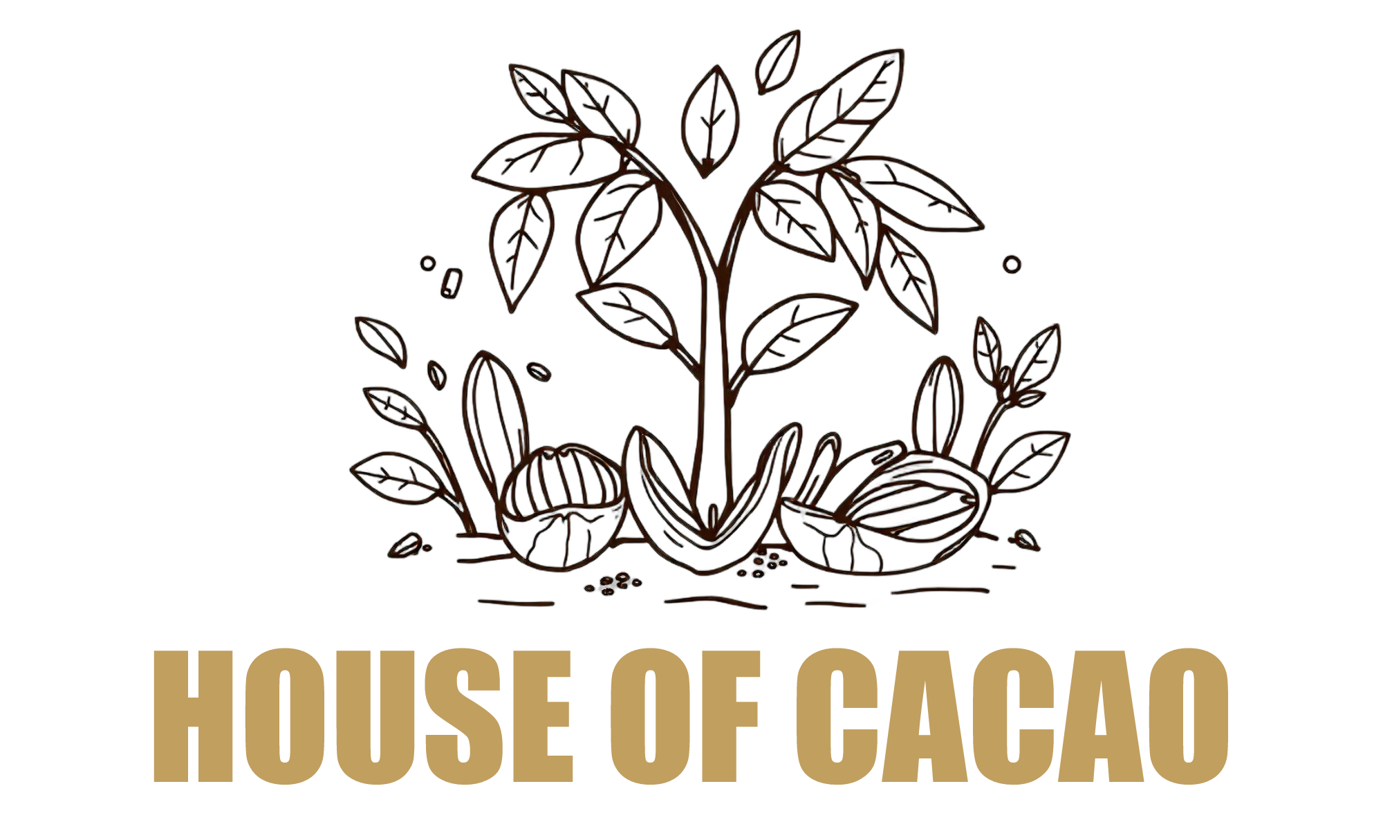 House of Cacao